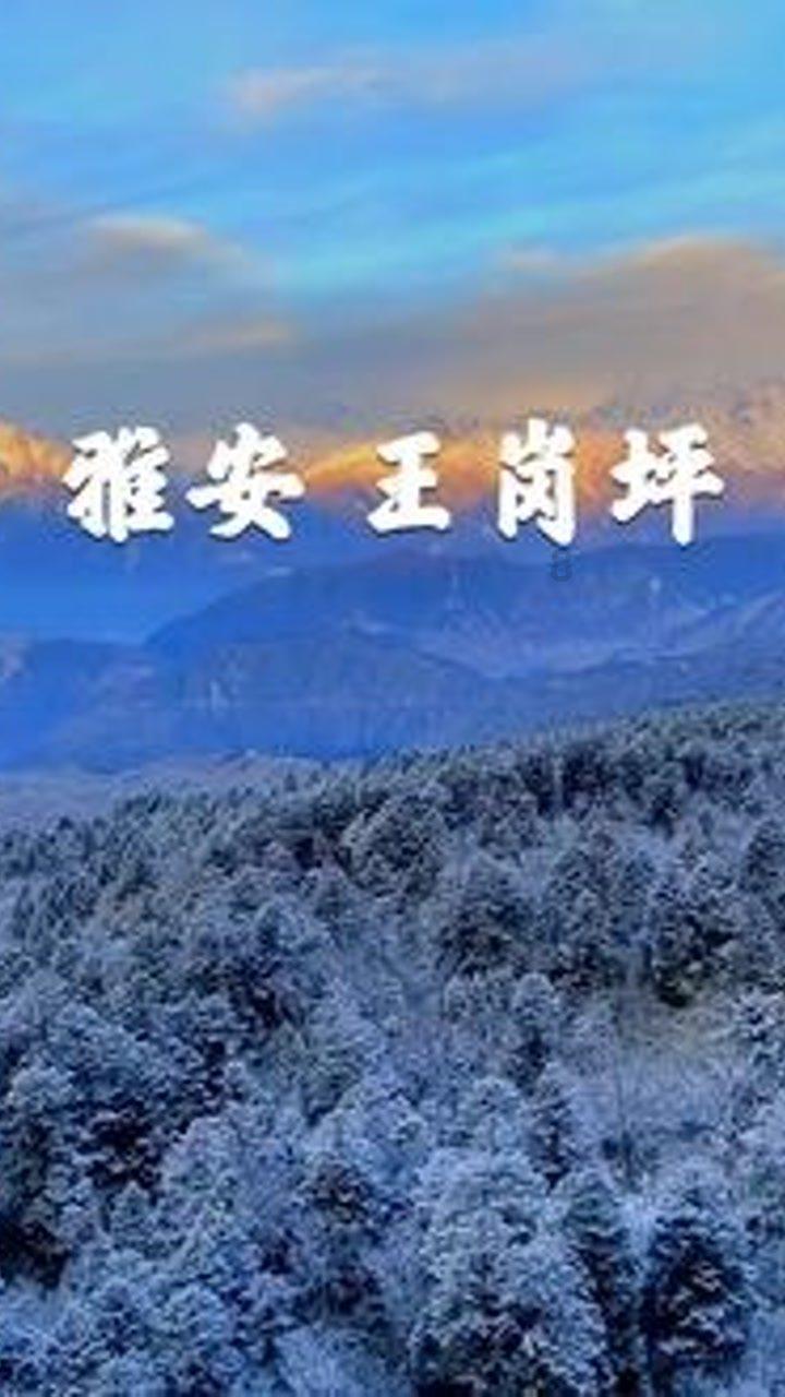 花瓶粉碎者
